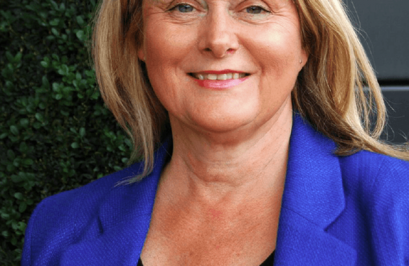 Anne Main MP