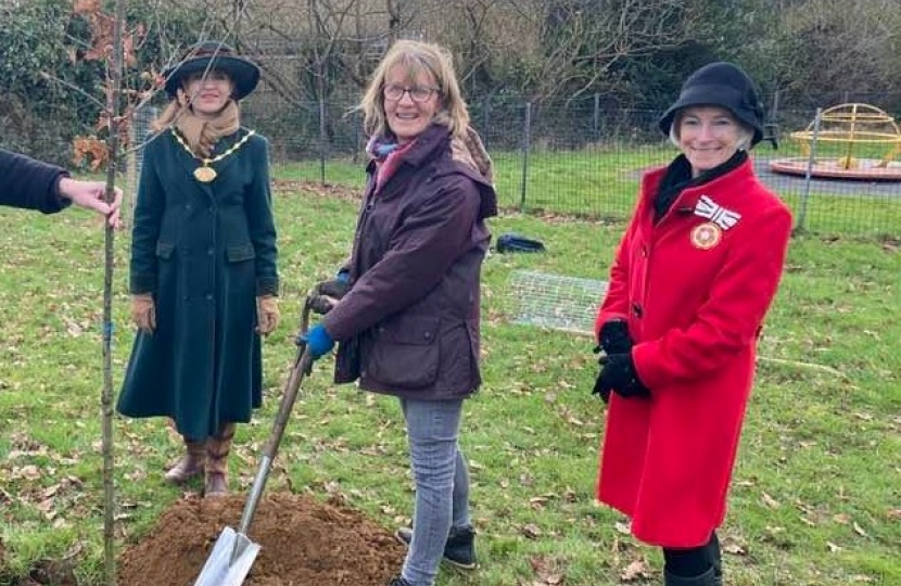 Tree Planting Sandridge