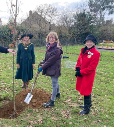 Tree Planting Sandridge